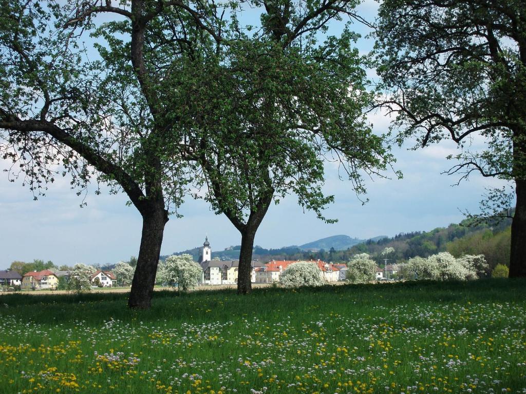 Hotel Gasthof Zur Linde Neuhofen an der Ybbs Exterior foto