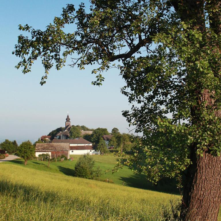 Hotel Gasthof Zur Linde Neuhofen an der Ybbs Exterior foto